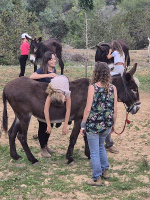 ACTIVIDADES TERAPÉUTICAS